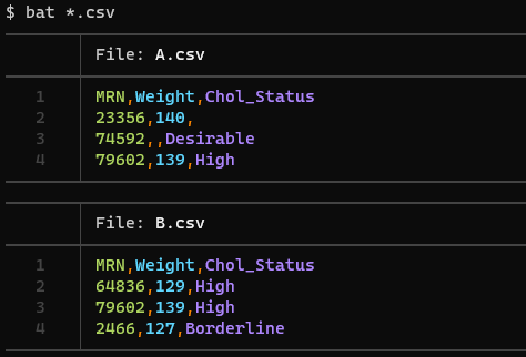 Minimal sample data for demonstration purposes.